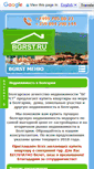 Mobile Screenshot of bgrst.ru